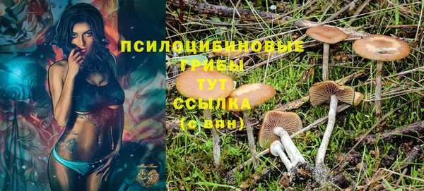 ECSTASY Сатка