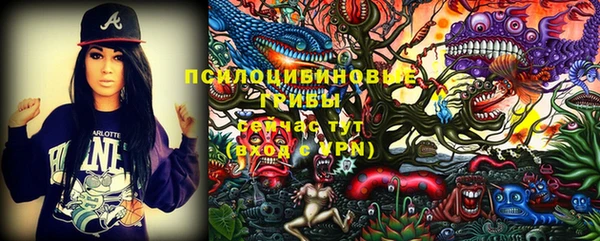 молекула духа Россошь